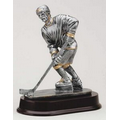 Male Ice Hockey Figure Award - 9 3/4"